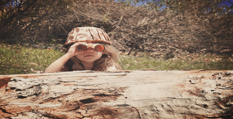 残忍的马达加斯加红木围猎现场