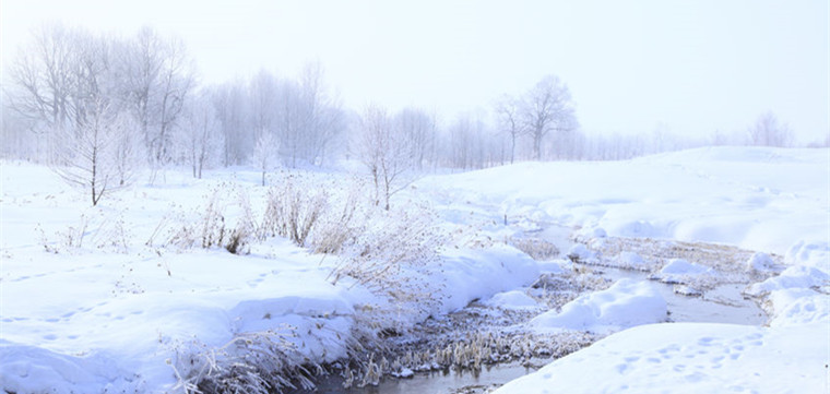 行业洗牌在即，大批外贸代理公司难渡寒冬