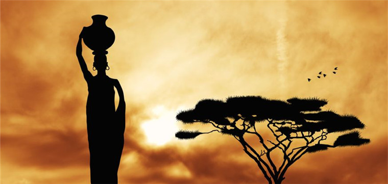 澳土著茶叶走向国际市场