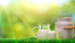 阿聯(lián)酋線上消費洞察：跨境購物最愛買鞋服，化妝品增速快