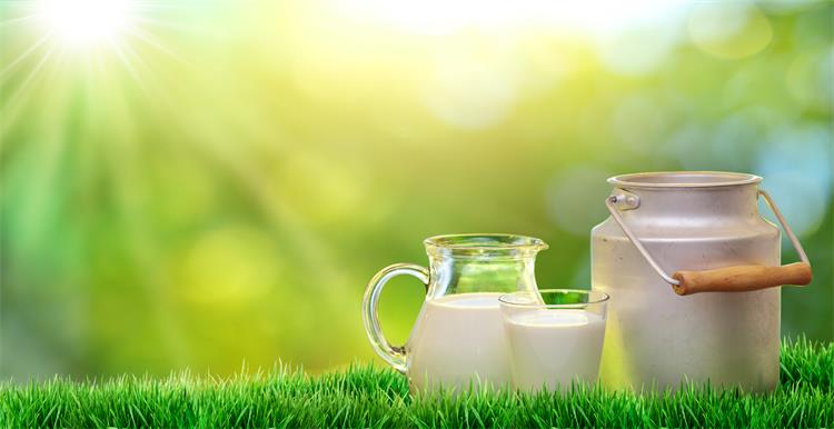 Shopee全年大促日历，助力2018爆单冲顶！