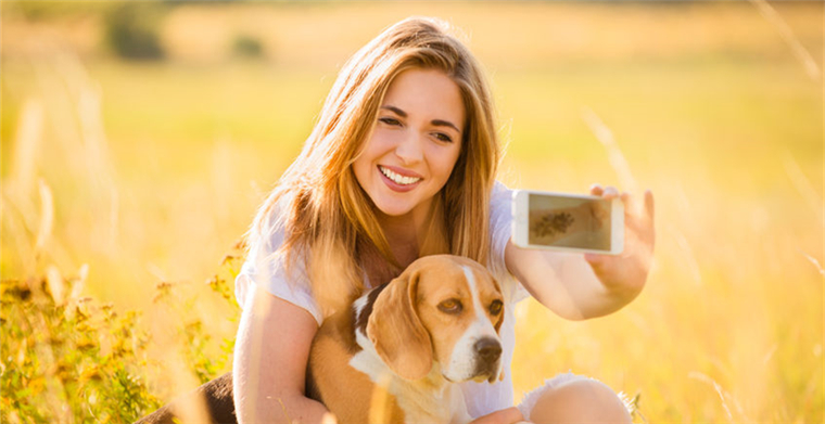 美国宠物保健市场观察，跨境电商卖家机会在哪？