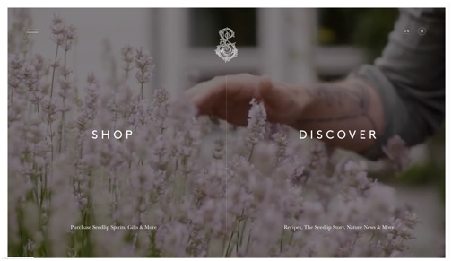 不逊大牌网站的设计，20款值得自建站卖家参考的网页设计