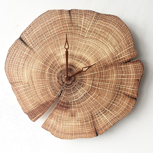 选品趋势|Q4“假日季”，适合热卖的产品了解一下