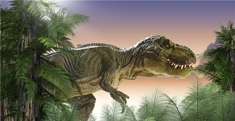 卖家秀堪比“侏罗纪公园”，老外速卖通上买恐龙