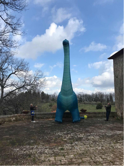 卖家秀堪比“侏罗纪公园”，老外速卖通上买恐龙