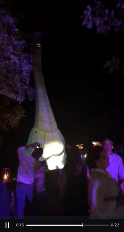 卖家秀堪比“侏罗纪公园”，老外速卖通上买恐龙