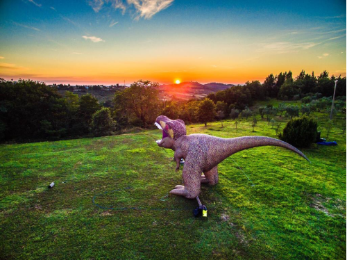 卖家秀堪比“侏罗纪公园”，老外速卖通上买恐龙