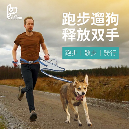 选品趋势|多功能型宠物用品，“铲屎官”优选的“用品”！