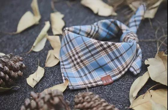 选品趋势|多功能型宠物用品，“铲屎官”优选的“用品”！