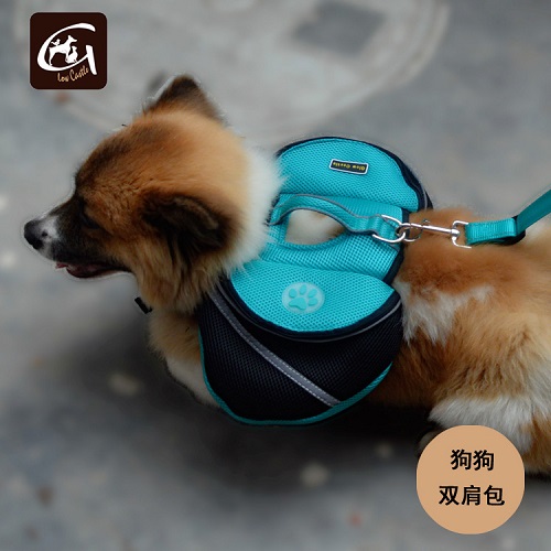 选品趋势|多功能型宠物用品，“铲屎官”优选的“用品”！