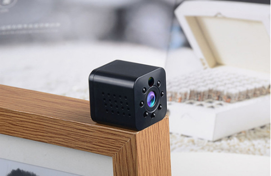 选品趋势|多功能型宠物用品，“铲屎官”优选的“用品”！