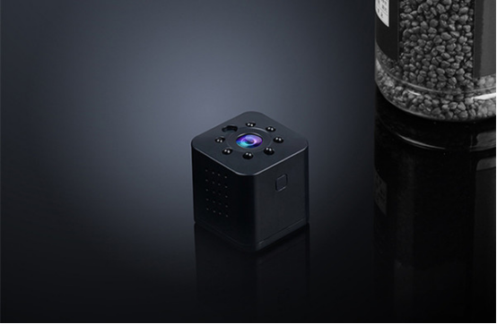 选品趋势|多功能型宠物用品，“铲屎官”优选的“用品”！