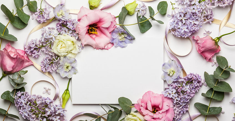 Kukka：用花卉文化，让邮件营销时尚起来！