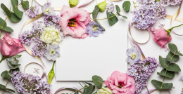 Kukka：用花卉文化，让邮件营销时尚起来！