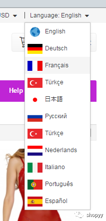 如何通过SHOPYY快速搭建小额批发网站？