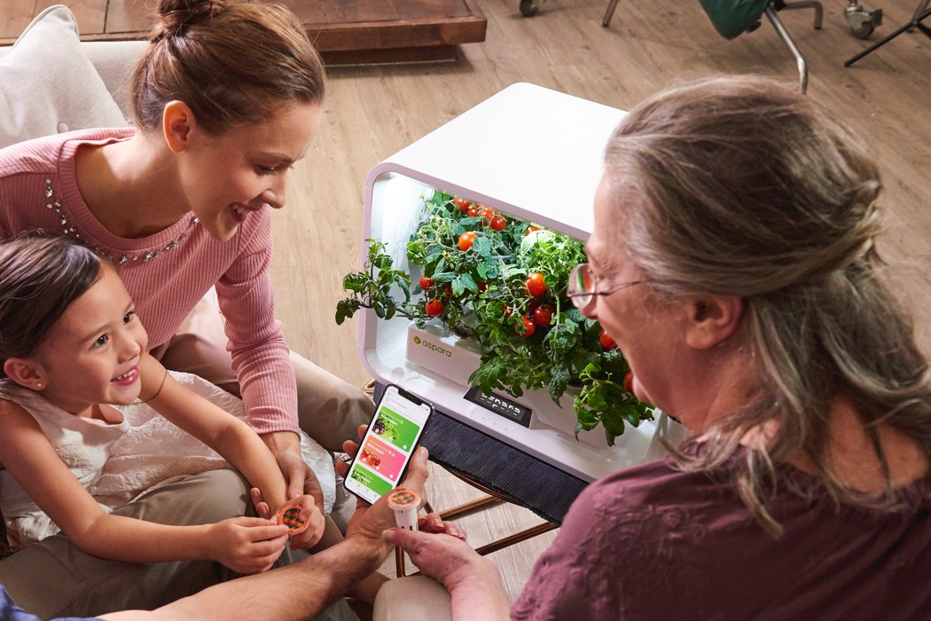 在家就可种植蔬菜，随时调节植物所需条件