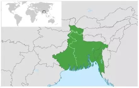 东南亚电商Zilingo是如何速成为准独角兽的？