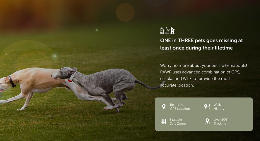 宠物监视器，有效保障宠物生命