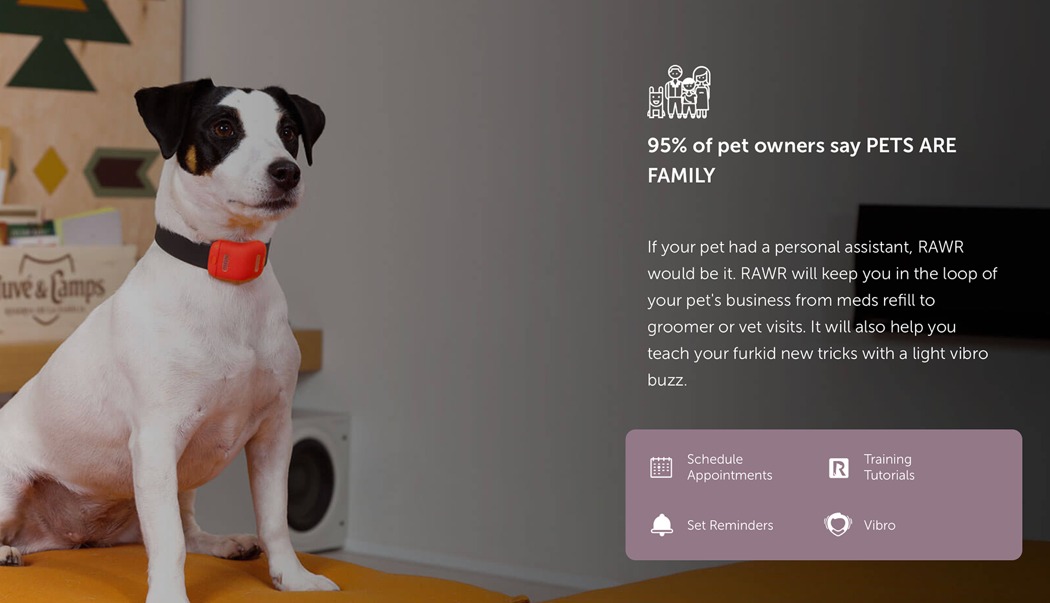 宠物监视器，有效保障宠物生命