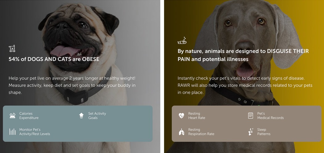 宠物监视器，有效保障宠物生命