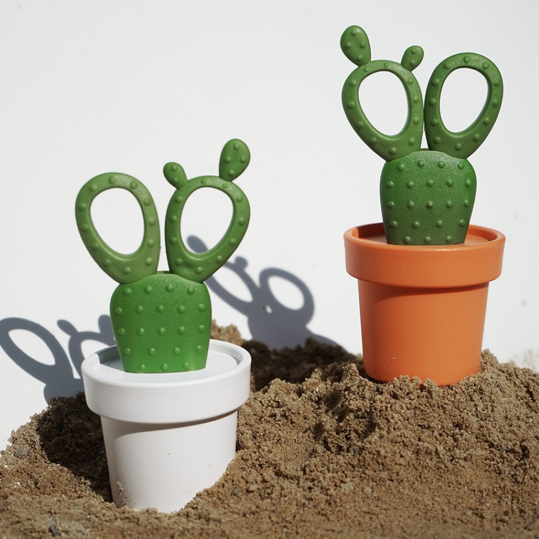 个性小剪刀，可做观赏绿植