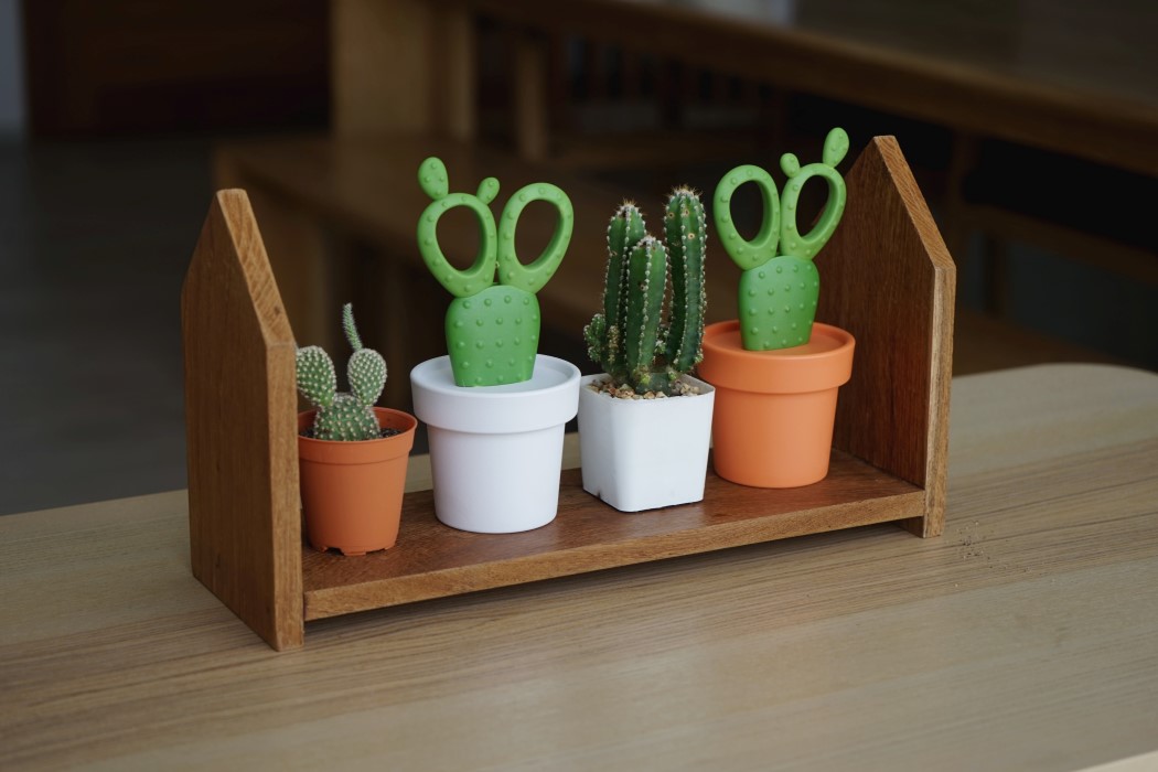 个性小剪刀，可做观赏绿植