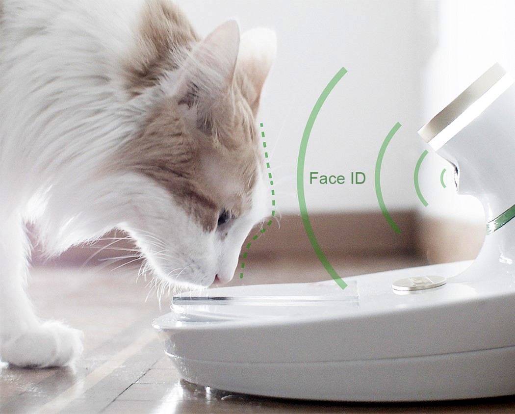 人工智能宠物碗，还可提供Google助手支持