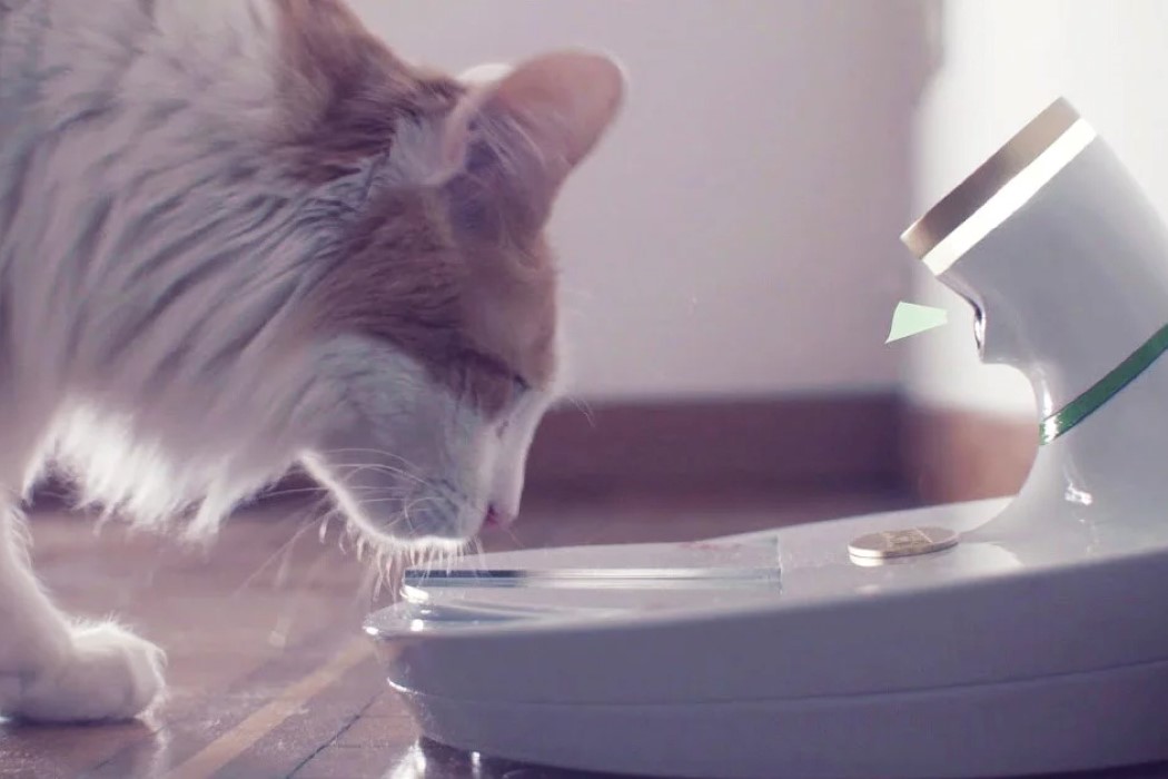 人工智能宠物碗，还可提供Google助手支持