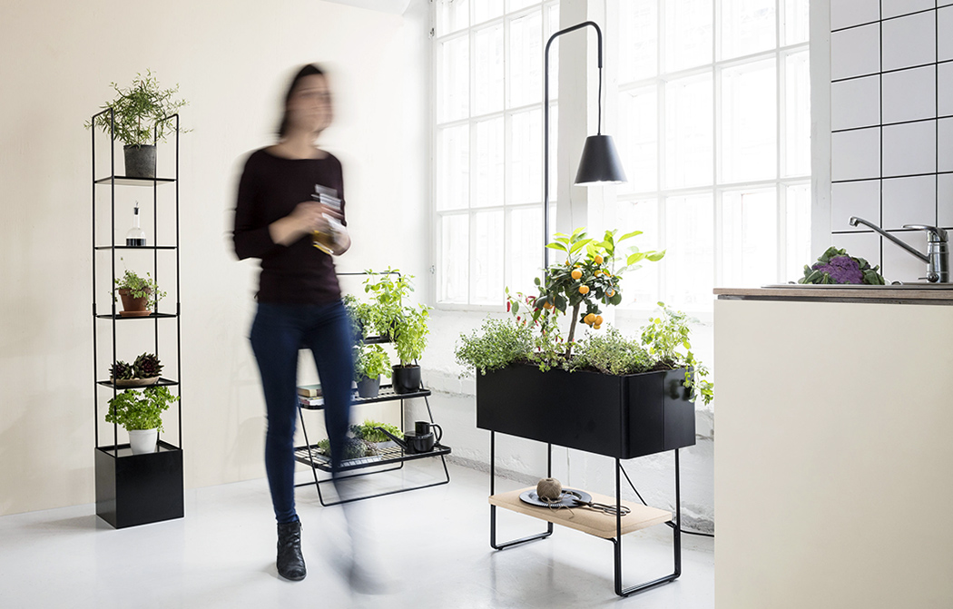 绿色家居系列，为植物提供充足空间