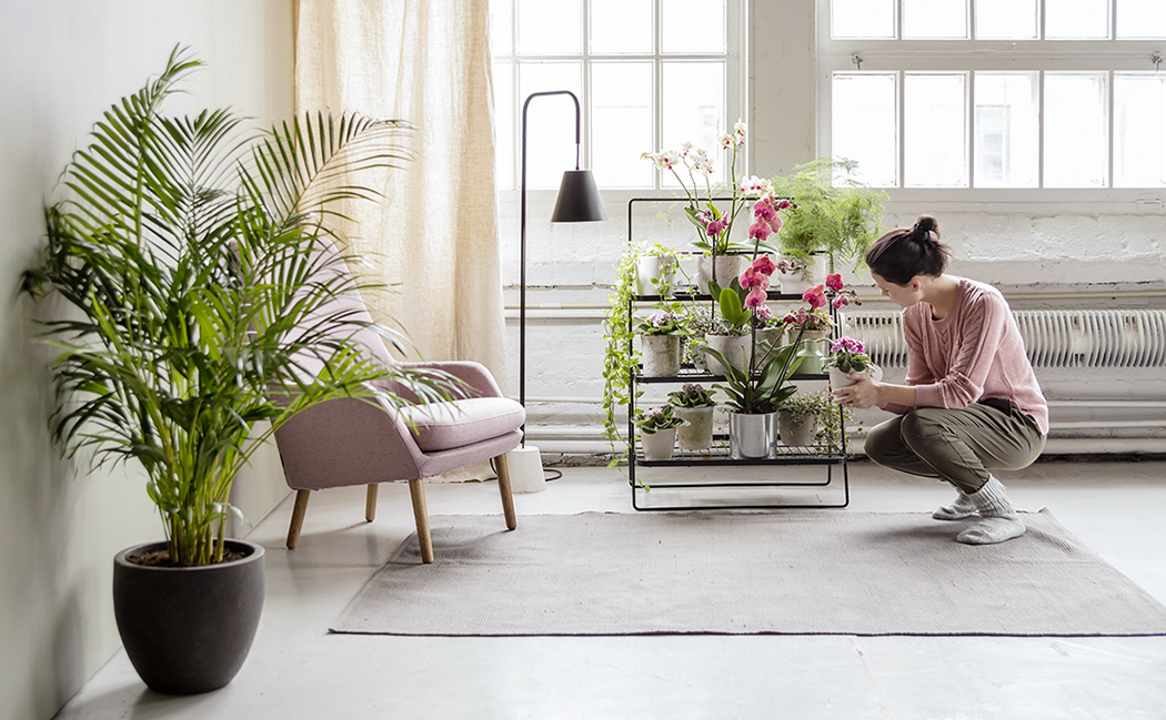 绿色家居系列，为植物提供充足空间