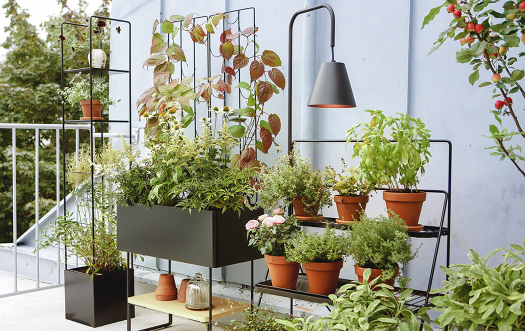 绿色家居系列，为植物提供充足空间