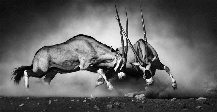 开炮了！特朗普计划终止对印度和土耳其的优惠贸易待遇