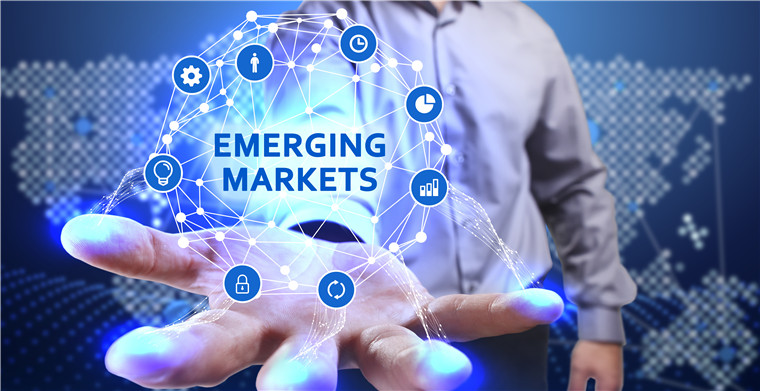 两大选品案例看亚马逊卖家如何精细化选品