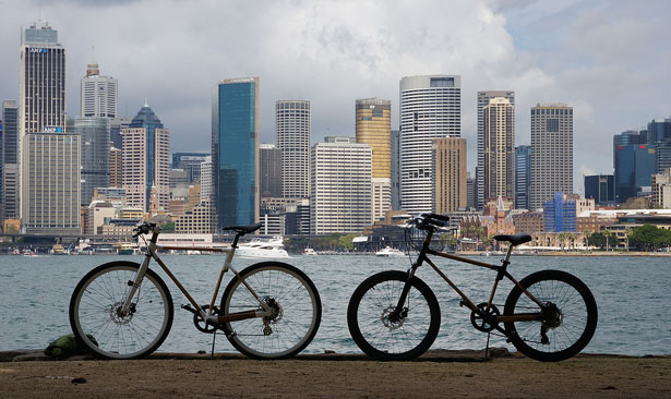 舒适灵活，竹制自行车