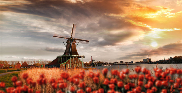 渗透率超亚马逊！荷兰电商Bol.com 2019年第三方销售额将破10亿欧元