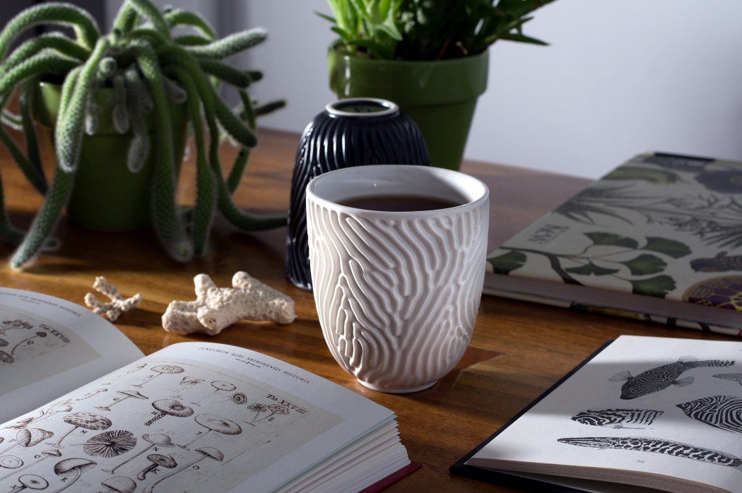 珊瑚纹路，大自然的美感