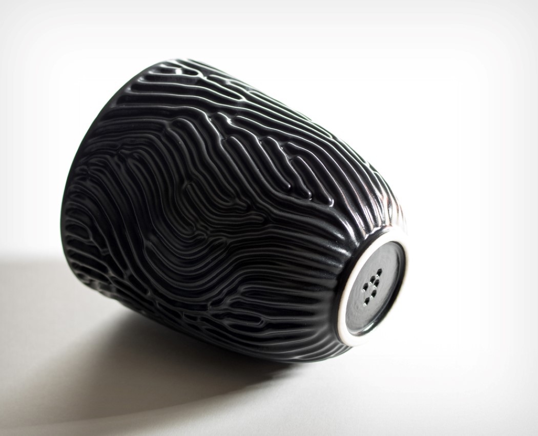 珊瑚纹路，大自然的美感