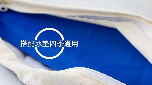 除味抑菌宠物垫，具备多项国家发明专利