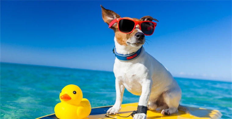 太阳镜品牌案例研究：从0到200万美金，他们总结了9条营销秘诀