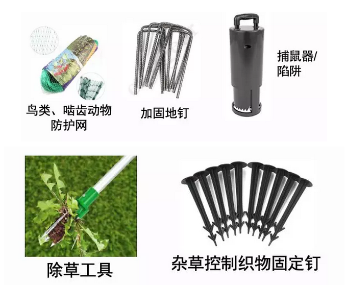 【eBay选品攻略】选它,让这个夏天的销量像气温一样飙涨!