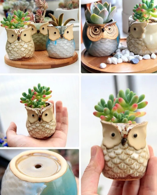 亚马逊母亲节什么产品好卖，抢先看国外达人强烈推荐的23款礼物