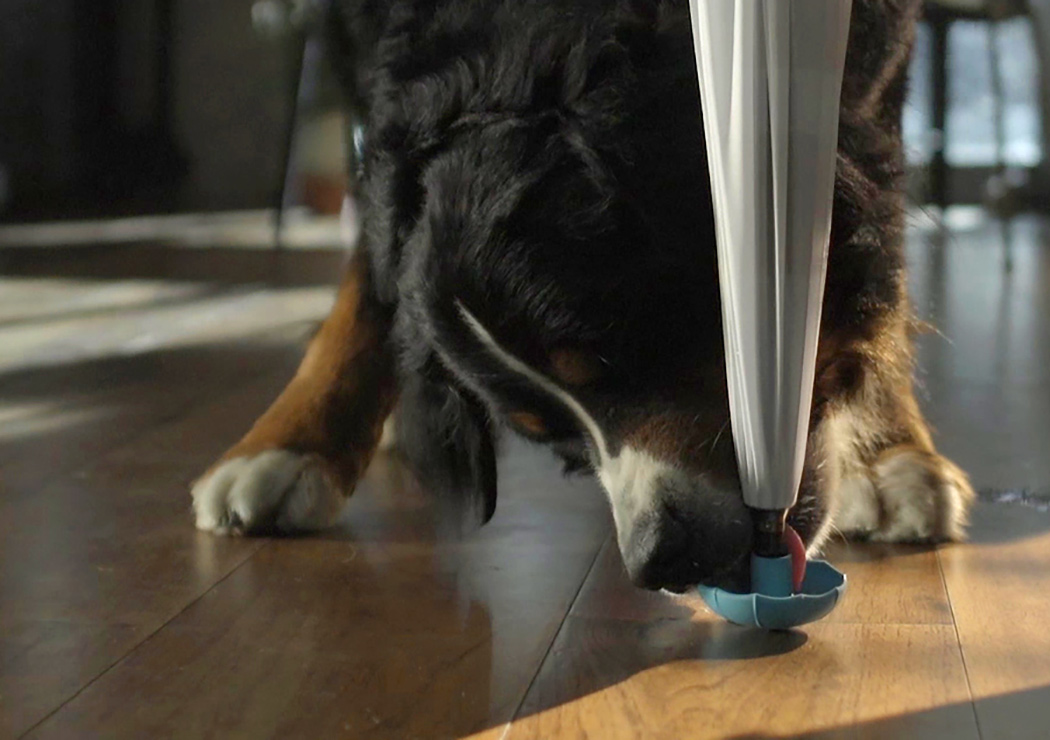 含有滴水嘴的雨伞，有助于地板干燥