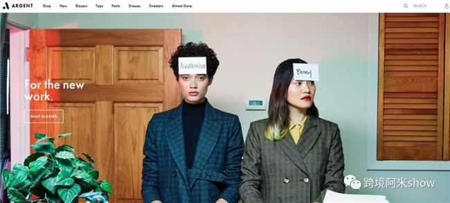 16个品牌跨境电商独立站成功精华分析-上篇