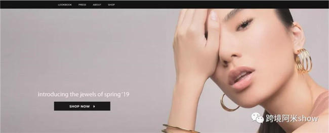 16个品牌跨境电商独立站成功精华分析-上篇
