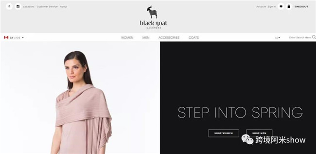 16个品牌跨境电商独立站成功精华分析-上篇