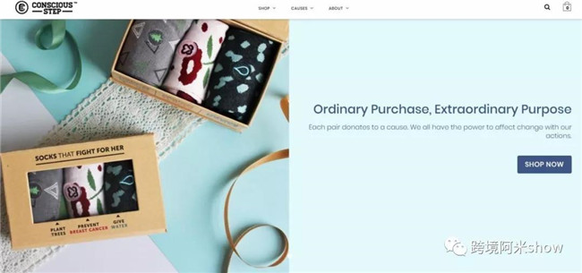 16个品牌跨境电商独立站成功精华分析-上篇