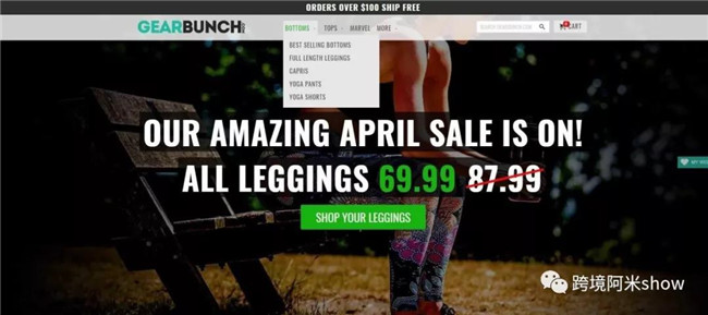 16个品牌跨境电商独立站成功精华分析-上篇