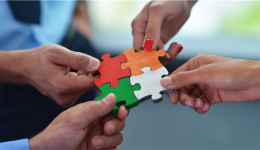 继续发力生鲜市场,京东签下新西兰水果零售商乐淇、佳沛