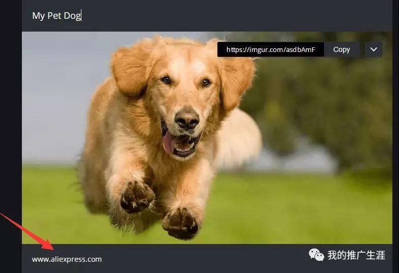 【干货】2019年独立站推广引流之Reddit教程